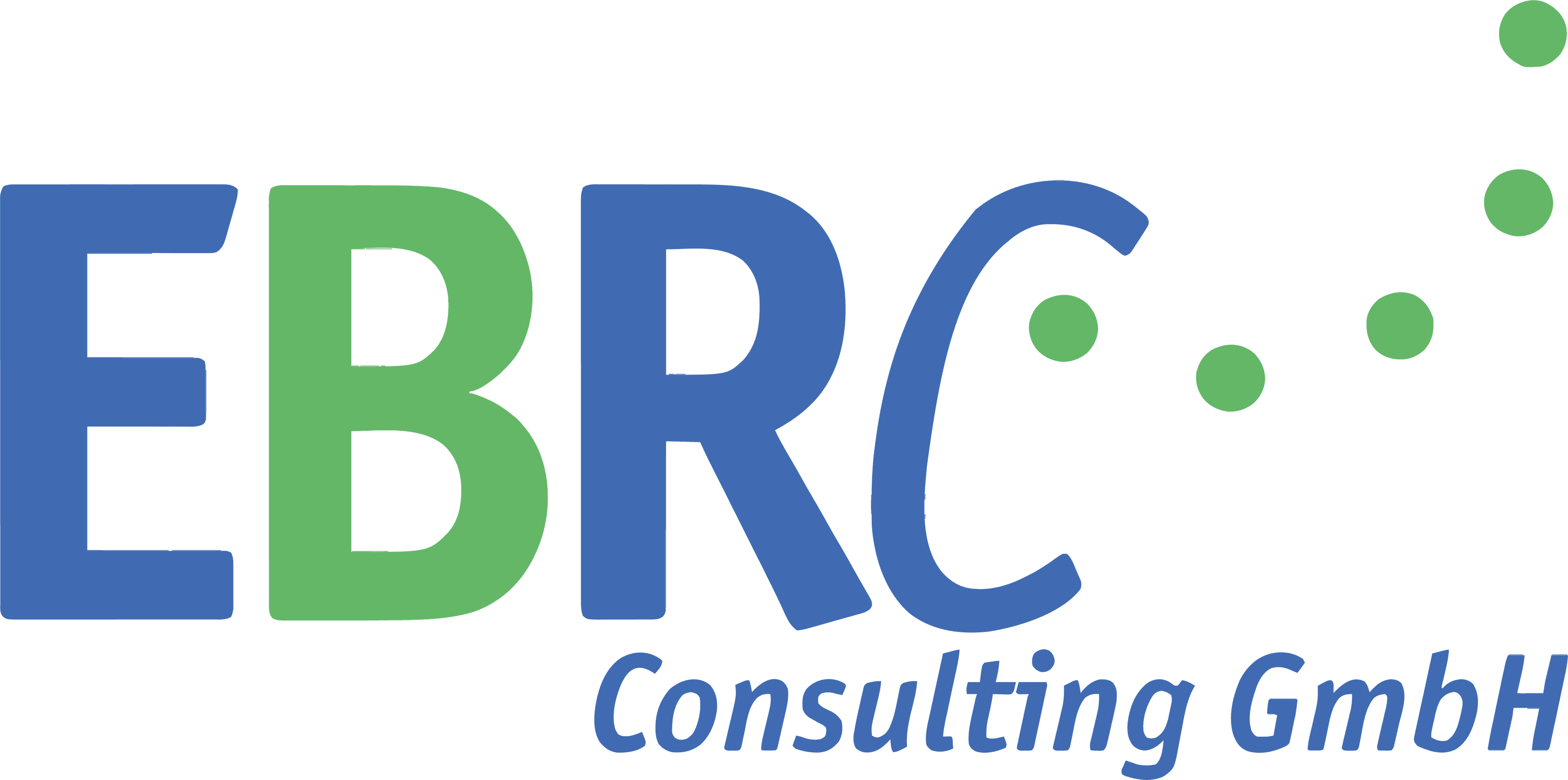 EBRC Consulting GmbH